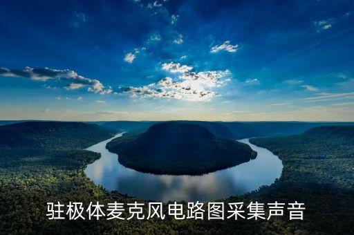 駐極體麥克風(fēng)，駐極體話筒英文縮寫和封裝形式原理圖