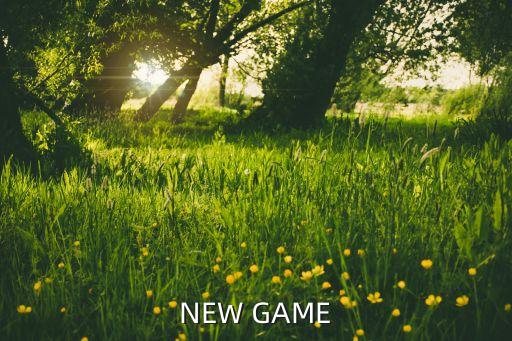 NEW GAME