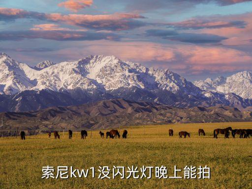 索尼kw1沒閃光燈晚上能拍