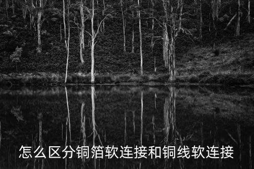 銅箔軟連接，請?zhí)峁┮幌裸~箔軟連接的優(yōu)點(diǎn)