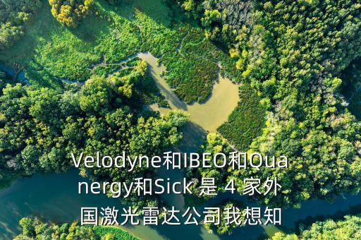 Velodyne和IBEO和Quanergy和Sick 是 4 家外國(guó)激光雷達(dá)公司我想知