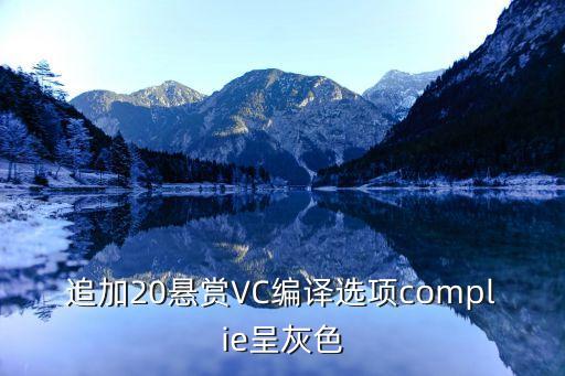 追加20懸賞VC編譯選項complie呈灰色