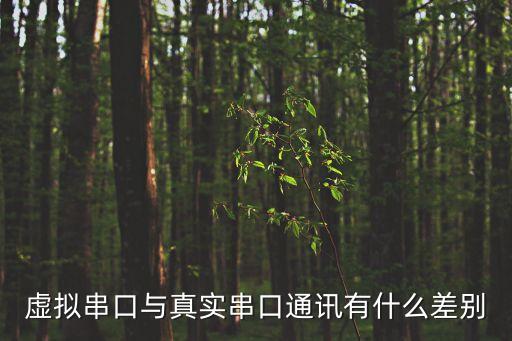 虛擬串口與真實串口通訊有什么差別