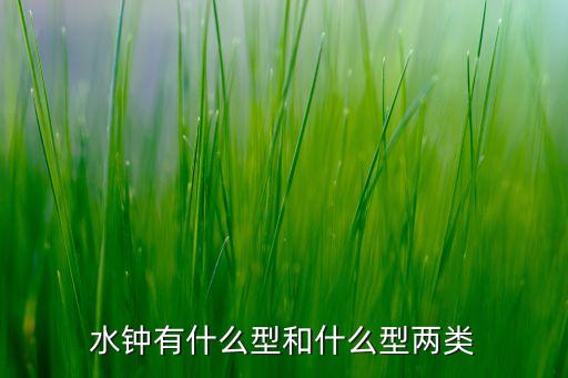 水鐘有什么型和什么型兩類