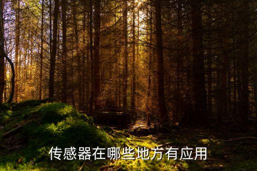 傳感器應(yīng)用實例，舉出一個實例說明光電傳感器的實際應(yīng)用并進(jìn)行工作原理的分析