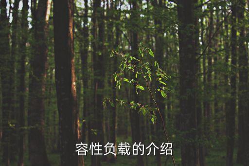 容性負(fù)載的介紹