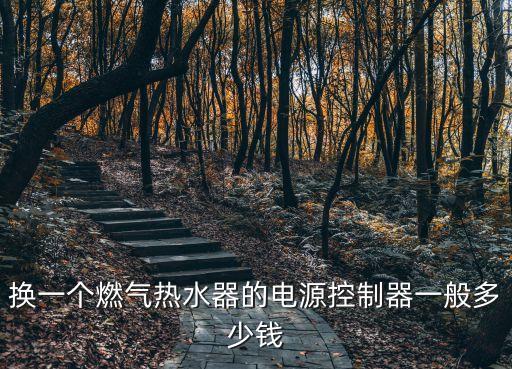 換一個燃氣熱水器的電源控制器一般多少錢