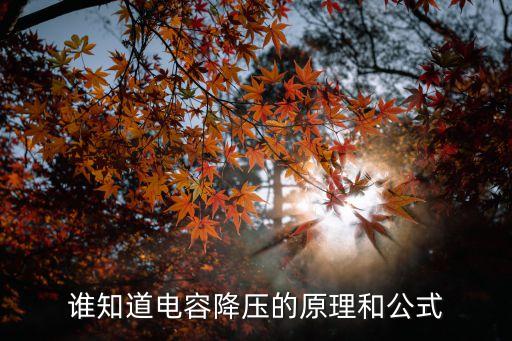 電容降壓，誰知道電容降壓的原理和公式