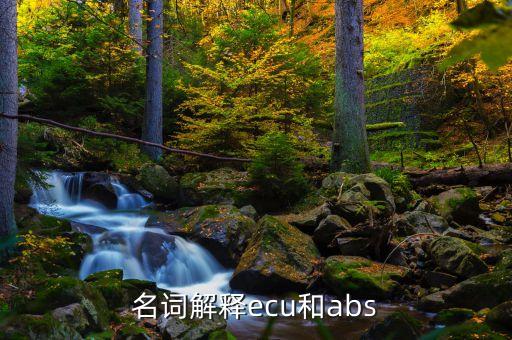 名詞解釋ecu和abs