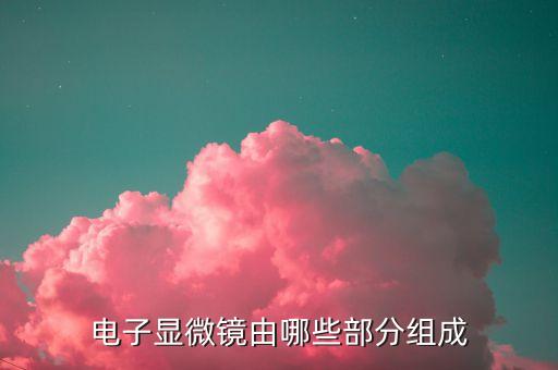 電子顯微鏡由哪些部分組成
