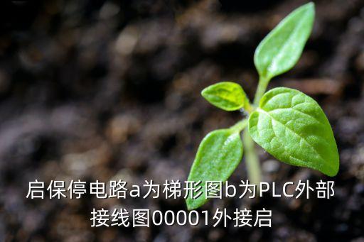 啟保停電路a為梯形圖b為PLC外部接線圖00001外接啟