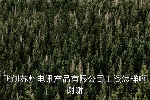 飛創(chuàng)蘇州電訊產(chǎn)品有限公司工資怎樣啊謝謝