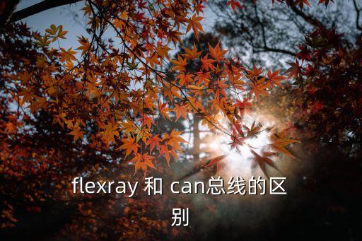 flexray 和 can總線的區(qū)別