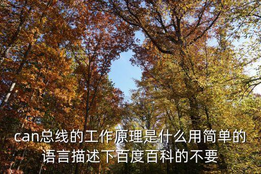 can總線的工作原理是什么用簡單的語言描述下百度百科的不要