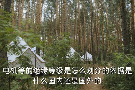 電機(jī)等的絕緣等級(jí)是怎么劃分的依據(jù)是什么國(guó)內(nèi)還是國(guó)外的