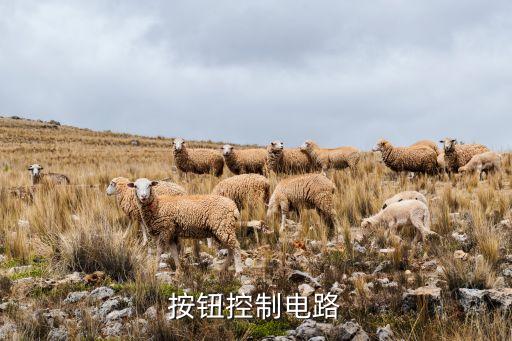 按鍵電路，按鈕控制電路