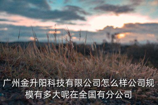 廣州金升陽，廣州金升陽科技有限公司怎么樣公司規(guī)模有多大呢在全國有分公司