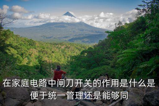 在家庭電路中閘刀開關(guān)的作用是什么是便于統(tǒng)一管理還是能夠同