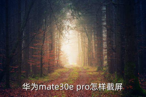 華為mate30e pro怎樣截屏