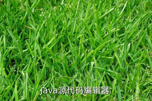 Java源代碼編輯器
