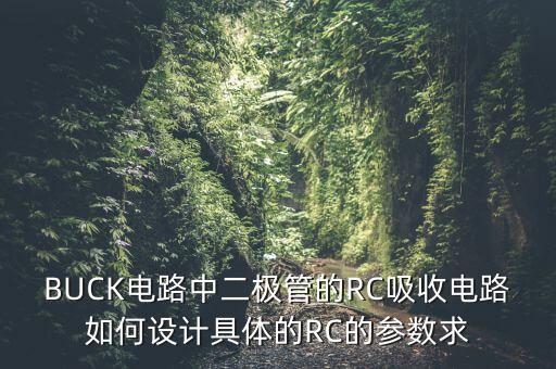 BUCK電路中二極管的RC吸收電路如何設(shè)計(jì)具體的RC的參數(shù)求