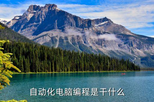 自動(dòng)化電腦編程是干什么
