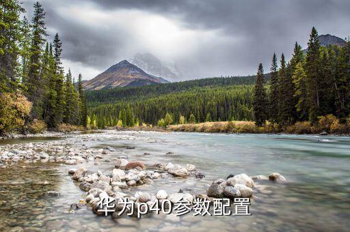 p40華為參數(shù)，華為p40是什么系統(tǒng)