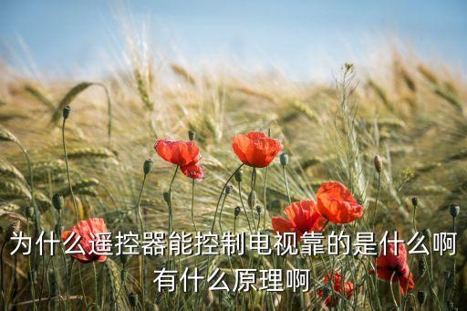 為什么遙控器能控制電視靠的是什么啊有什么原理啊