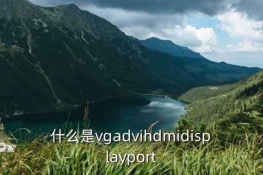 displayport接口，Display Port接口是什么接口和HDMI有什么區(qū)別