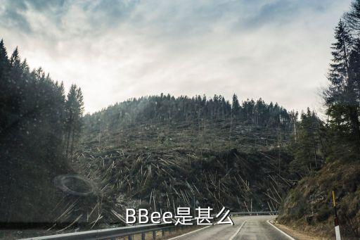 BBee是甚么