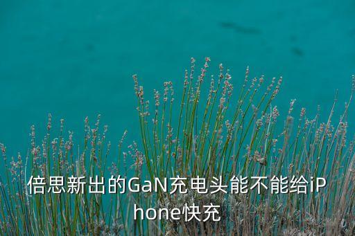 倍思新出的GaN充電頭能不能給iPhone快充
