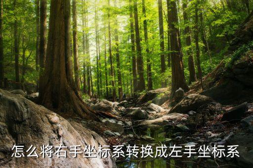 相機(jī)坐標(biāo)系，請(qǐng)問一套視覺系統(tǒng)包含哪些坐標(biāo)系啊