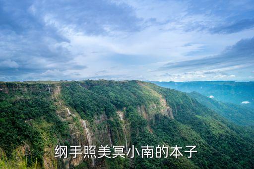 綱手全彩本子，求鳴人和綱手的動漫漫畫就是很想看看