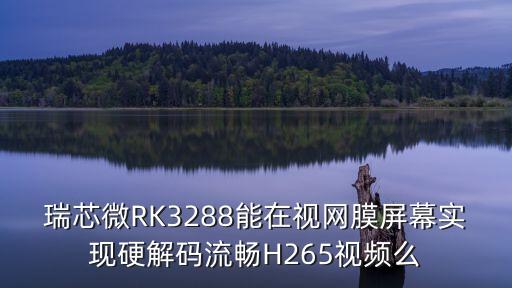 rk3288，rk3288的功能有什么呢