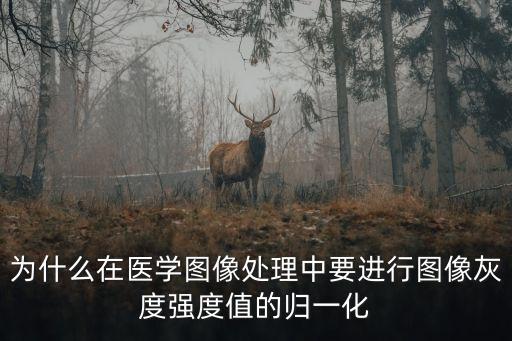 為什么在醫(yī)學圖像處理中要進行圖像灰度強度值的歸一化