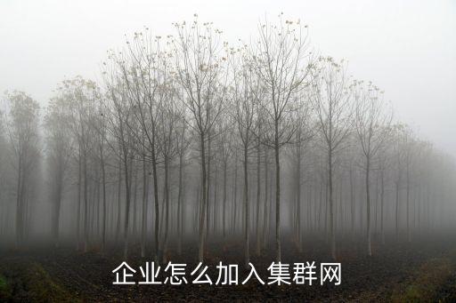 集群網(wǎng)，什么是電信集群網(wǎng)業(yè)務(wù)