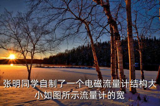 張明同學(xué)自制了一個(gè)電磁流量計(jì)結(jié)構(gòu)大小如圖所示流量計(jì)的寬