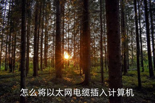以太網(wǎng)怎么連接，普耐爾平板電腦怎么進行以太網(wǎng)連接