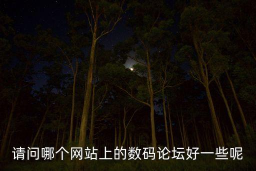 請問哪個網(wǎng)站上的數(shù)碼論壇好一些呢