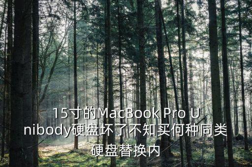 15寸的MacBook Pro Unibody硬盤壞了不知買何種同類硬盤替換內