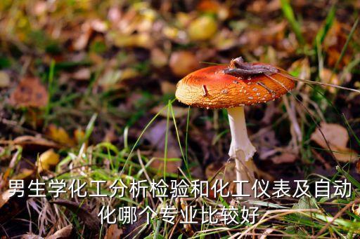 男生學(xué)化工分析檢驗(yàn)和化工儀表及自動(dòng)化哪個(gè)專業(yè)比較好