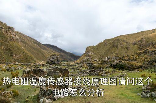 熱電阻溫度傳感器接線原理圖請問這個電路怎么分析