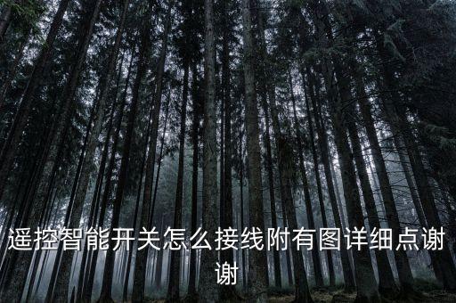 遙控智能開關(guān)怎么接線附有圖詳細(xì)點(diǎn)謝謝