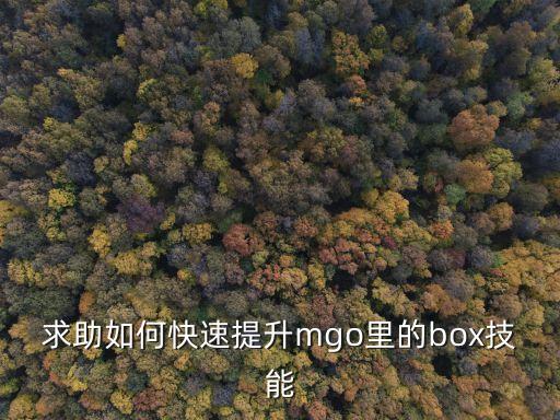 求助如何快速提升mgo里的box技能