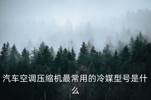 汽車空調(diào)壓縮機(jī)最常用的冷媒型號(hào)是什么