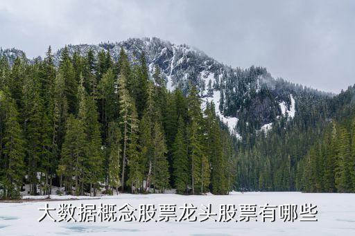 大數(shù)據(jù)概念股票龍頭股票有哪些