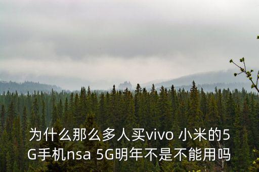 nsa和sa的區(qū)別，如何判斷用戶登錄的是SA網(wǎng)絡(luò)還是NSA網(wǎng)絡(luò)