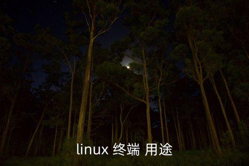 linux終端，Linux有幾個終端