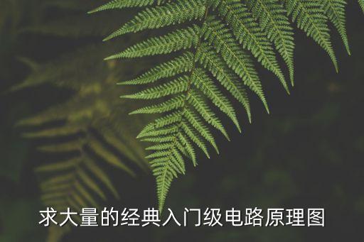 求大量的經(jīng)典入門級電路原理圖