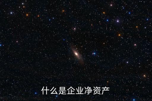 什么是企業(yè)凈資產(chǎn)